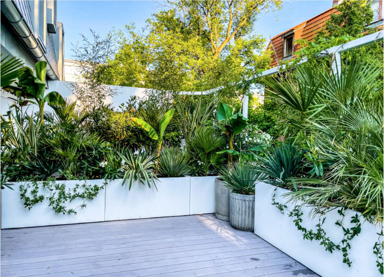 dżungla na balkonie