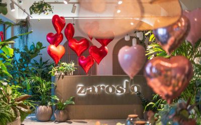 Rośliny doniczkowe na Walentynki – prezent, który mówi więcej niż kwiaty