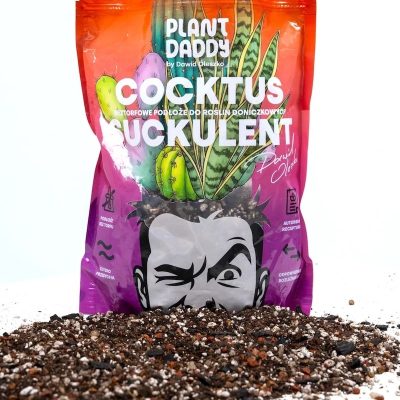 podłoże Cocktus Suckulent mieszanka