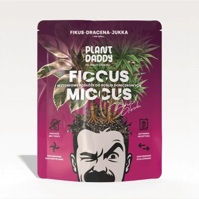 podłoże Ficcus Miccus